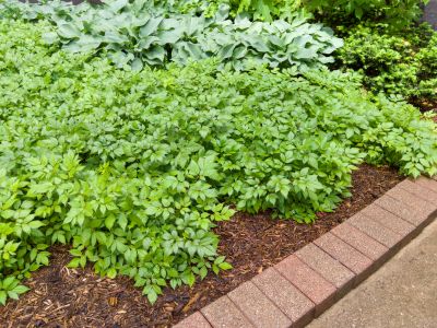 Brick Hardscape Construction in Worcester, MA