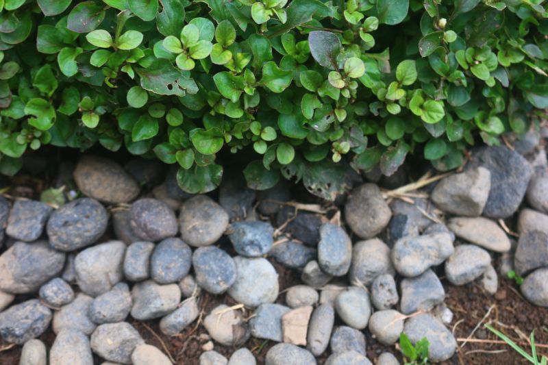 Material Picks that Last