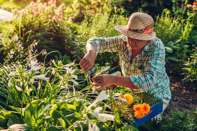 Spring Garden Maintenance in Ventura County, CA